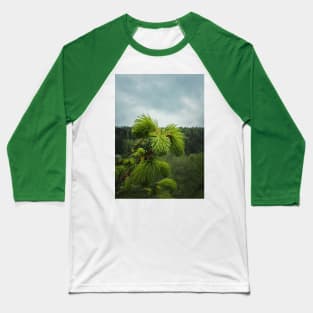 Young fir sprouts Baseball T-Shirt